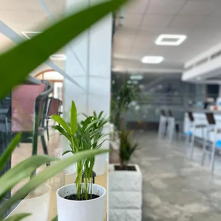 El Botero 3* 蒙雷阿尔-德尔坎波